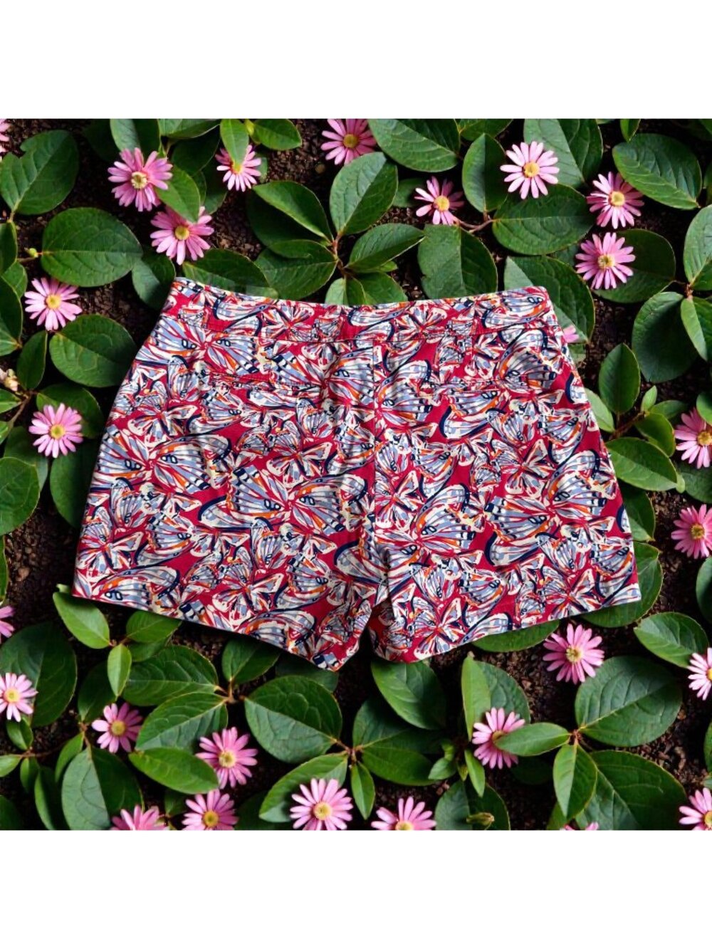 JUNIPER & LIME Cotton Blend Butterfly Print Shorts Size 12